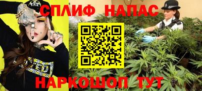 спиды Аргун