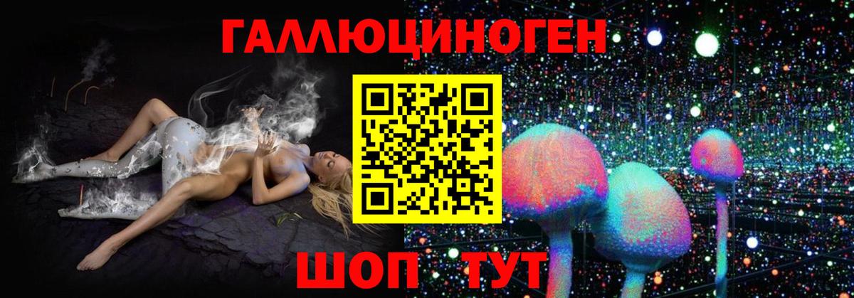 Балаково  Галлюциногенные грибы MAGIC MUSHROOMS  наркошоп  Вход с VPN 
