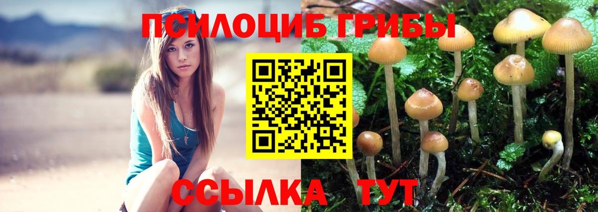 Псилоцибиновые грибы прущие грибы Балаково